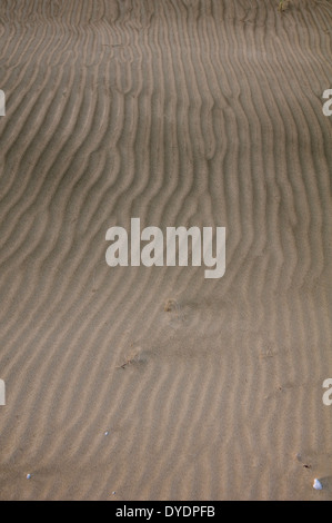 Wavy lines in the sand along 90 Mile Beach, New Zealand. Stock Photo