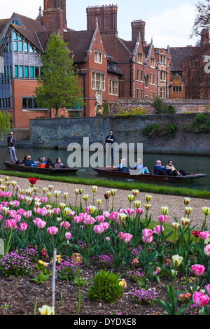 Punting on River Cam in Cambridge with Colourful Flowers in Foreground Stock Photo
