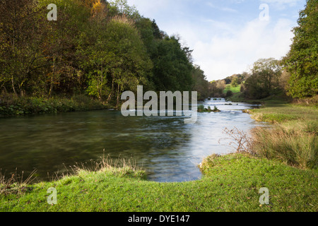 The crystal-clear waters of the River Lathkill flow through Lathkill Dale in the Peak District National Park, England Stock Photo