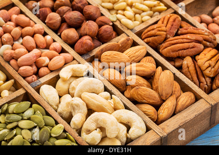 nuts and seed collection (cashew, pecan, hazelnut,pine nuts, peanut, pumpkin) in an old typesetter wooden drawer Stock Photo
