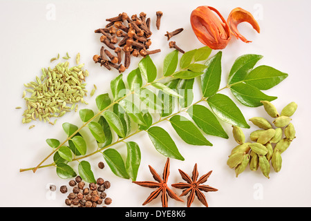 Spices of Kerala