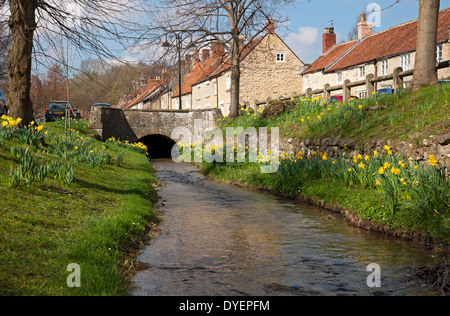 Cottages and daffodils flowers beside the village beck stream in spring Helmsley North Yorkshire England UK United Kingdom GB Great Britain Stock Photo