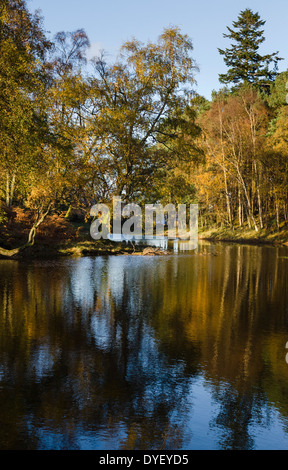 Autumn colour and Lantry's Tarn above Ullswater Stock Photo