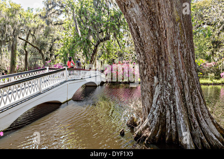 Bridge over Charleston Lake in Charleston Provincial Park, rural Stock