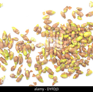 black currant buds isolated on white background Stock Photo