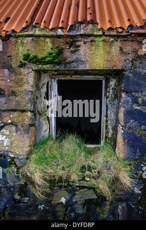 Detail of abandoned croft house near Lochmaddy, North Uist, Outer Hebrides, Scotland Stock Photo