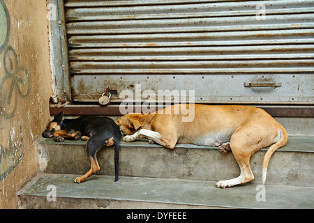 India, West Bengal, Kolkata, Calcutta, street life Stock Photo