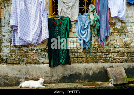 India, West Bengal, Kolkata, Calcutta, street life Stock Photo