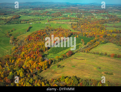LOUDOUN COUNTY, VIRGINIA, USA - Aerial of fragmented forest, with Christmas tree farm at center. Stock Photo