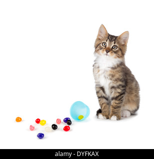 Cute tabby kitten sitting next to jelly beans spilled out of an Easter egg isolated on a white background. Stock Photo