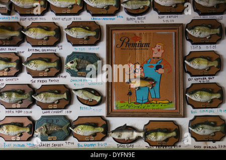 USA, Arkansas, Little Rock, Flying Fish seafood restaurant interior with singing bass fish Stock Photo