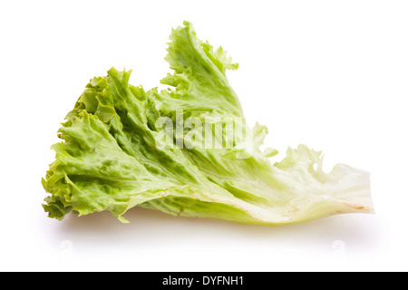 lollo bionda lettuce leaf isolated Stock Photo