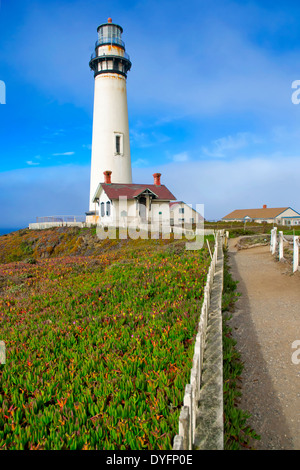 CALIFORNIA, USA - AUG 14 2013: Sea Lions On The Beach Along The Highway 1  From San Francisco To Los Angeles Stock Photo, Picture and Royalty Free  Image. Image 38462520.