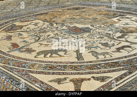Roman mosaic from The House of Orpheus Volubilis Archaeological Site, Morocco Stock Photo