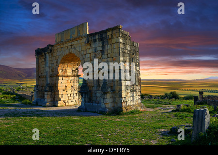 The Arch of Caracalla, built in 217 by the city's governor Marcus Aurelius Volubilis Archaeological Site, Morocco Stock Photo