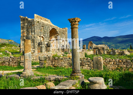 The Arch of Caracalla, built in 217 by the city's governor Marcus Aurelius Volubilis Archaeological Site, Morocco Stock Photo