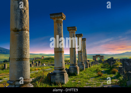 Columns along The Decumanus Maximus, the main street looking  towards the Arch of Caracalla. Volubilis Site, Morocco Stock Photo