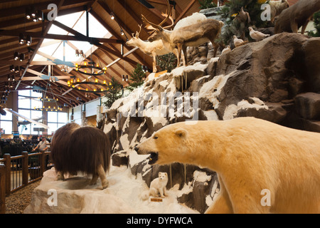 USA, Nebraska, Omaha, stuffed animal display, Cabela's Sporting Goods Stock Photo