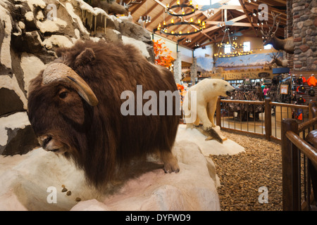 USA, Nebraska, Omaha, stuffed animal display, Cabela's Sporting Goods Stock Photo