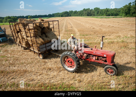 Farmer hauling hay wagon with red tractor Stock Photo