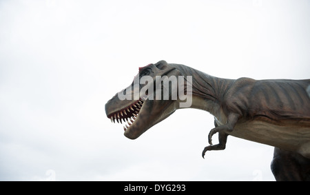 Dinosaurs on Gold Coast, Queensland, Australia Stock Photo