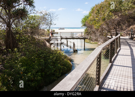 The walkways leading across Eli Creek and to a path on Australia's Fraser Island in March 2014. Stock Photo