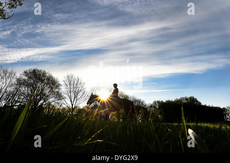 Langenhangen, Germany. 17th Apr, 2014. Racing stall employees go out for daily training in preparation for horse racing on the galoping racetrack in Langenhangen, Germany, 17 April 2014. The start of the racing season for the Hannoverscher Rennverein (HRV - Hanover Raceing Association) is on Easter Monday. The HRV will host seven racing days at the Galopprennbahn (galoping race track). Photo: HOLGER HOLLEMANN/dpa/Alamy Live News Stock Photo