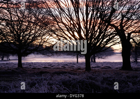 Early morning mist hanging over the Pen Ponds in Richmond Park, London, UK Stock Photo