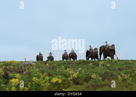 rangers sitting on elephants back safari in nature reserve south africa Stock Photo