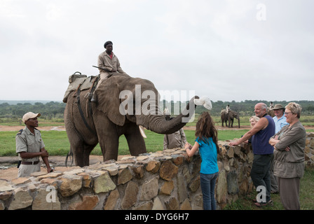 rangers sitting on elephants back and elephant takes hat from girls head Stock Photo