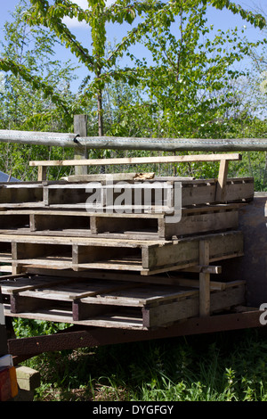 Pile of wooden pallets against a background of bushes and blue sky