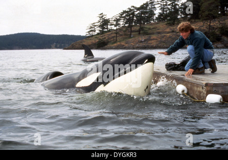 FREE WILLY 2: THE ADVENTURE HOME (1995) JASON JAMES RICHTER, DWIGHT LITTLE (DIR) FWY2 002 MOVIESTORE COLLECTION LTD Stock Photo