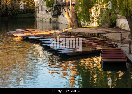 Punts Moored on River Cam Stock Photo