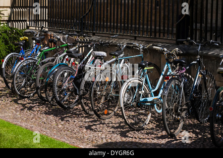 Bicycles Lined Up in Cambridge Stock Photo