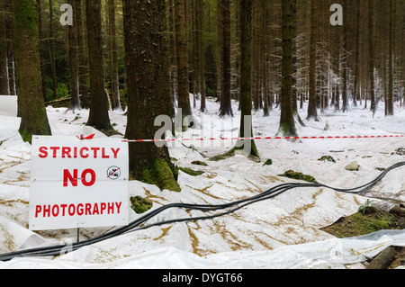 Tollymore Forest, Northern Ireland, covered with fake snow for the filming of the first episode of Game of Thrones Stock Photo