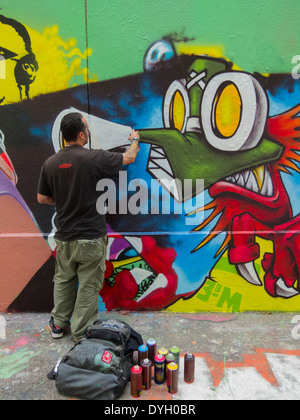 Paris, France,  French Man, Graffiti Artist, Spray Painting Graphic Design, Wall on Street, painting amateur, urban youths, urban art paris Stock Photo