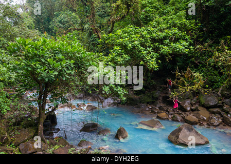 Signature turquoise blue water in the Rio Celeste flows through forest, Tenorio Volcano National Park, Costa Rica. Stock Photo