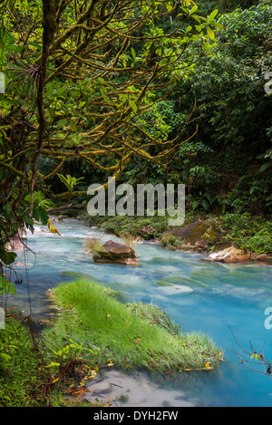 Signature turquoise blue water in the Rio Celeste flows through forest, Tenorio Volcano National Park, Costa Rica. Stock Photo