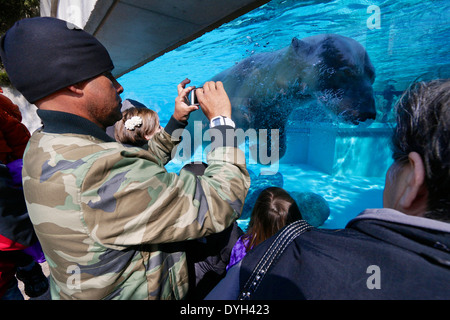 Underwater viewing window, polar bear and zoo visitors. Lincoln Park Zoo, Chicago, Illinois Stock Photo