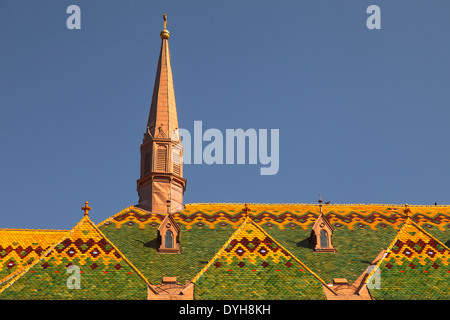 Catholic cathedral, freedom square, Novi Sad, Serbia, Europe Stock Photo