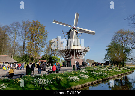 Daffoldils and tourists in front of a windmill in the Keukenhof in Lisse, Holland Stock Photo