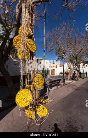 Floral and rope sculpture hanging from a tree in Guia de Isora