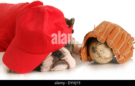 sports hound - english bulldog wearing red shirt and hat over eyes with baseball and glove on white background Stock Photo