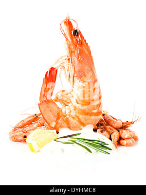 fresh shrimp close-up isolated on white background Stock Photo