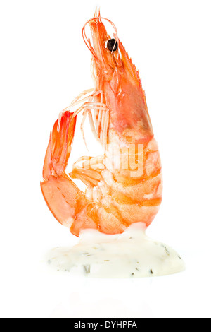 fresh shrimps isolated Stock Photo