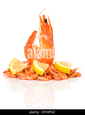 fresh shrimps isolated Stock Photo