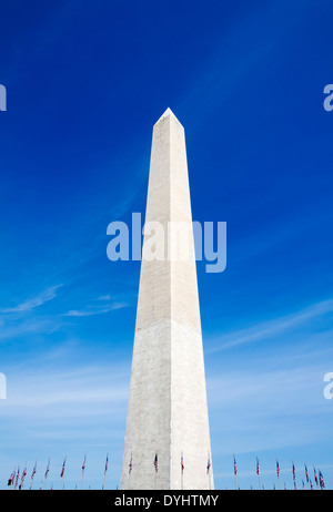 The Washington Monument surrounded with US flags in Washington D.C Stock Photo