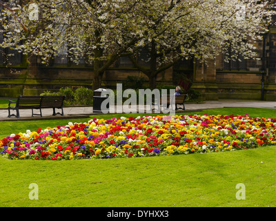 Woman on park bench relaxing next to floral display in Civic Centre public garden, Haymarket, Newcastle upon Tyne, England, UK Stock Photo