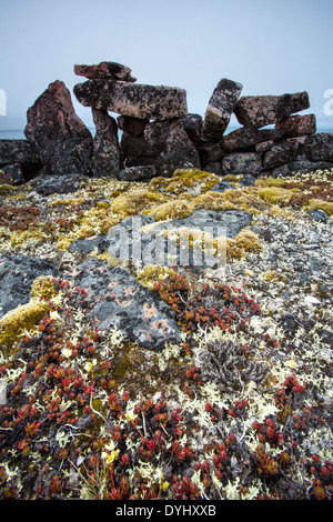 Canada Nunavut Territory Vansittart Island Moss grows on arctic tundra beneath Inuit stone tent ring along Hudson Bay near Stock Photo