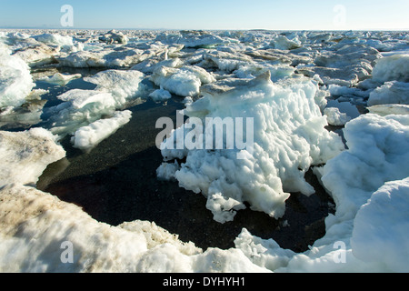 Canada, Nunavut Territory, Vansittart Island, Icebergs from drifting pack ice grounded at low tide along coastline Stock Photo